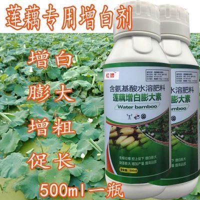 莲藕专用膨大增白增粗速长剂叶片浓绿促控结合膨大增产高品质肥料