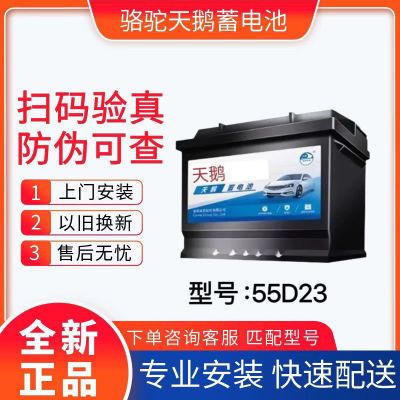 ���ڲ����������ա��������12v60a���俨�������ڵۺ����ǵ�����55D23 158.9Ԫ