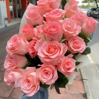 戴安娜玫瑰鲜花花期超长鲜花花花束家庭家用插花云南基地直发速发优惠商品图片