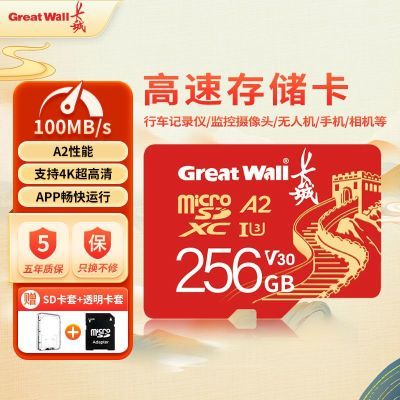 ڲڴ濨256GټͷTFг¼ֻ濨10.99Ԫ