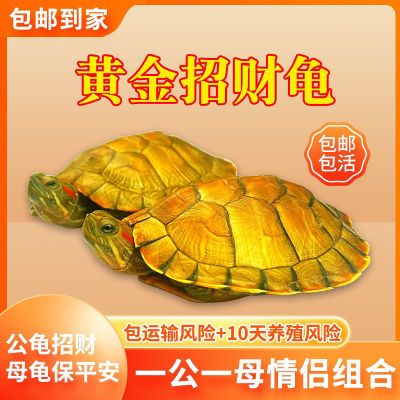 вƻƽһֻ2.51Ԫ 