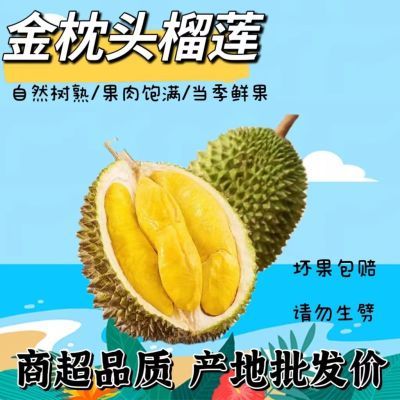 【现货包邮】泰国金枕头榴莲新鲜水果带壳应季一整个鲜果整箱批发