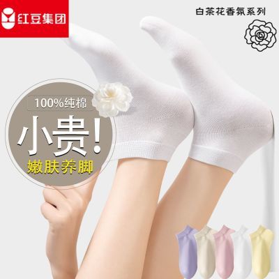 ڲ춹ɽ軨նͲŮ100%ļ͸29.8Ԫ