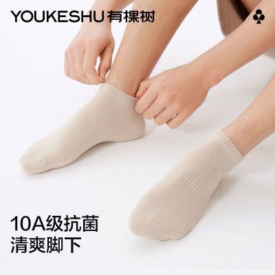 ڲ10Aпʿļ͸˶ബ28.8Ԫ