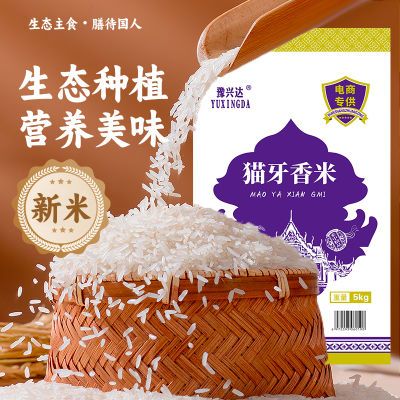 巴斯马蒂香米2024年新米季泰国香米猫牙米丝苗米煲仔饭专用米大米