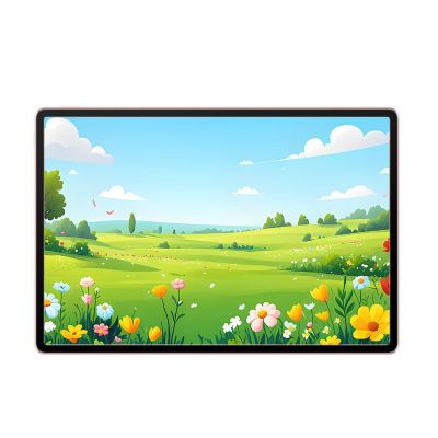 ڲ2024¿ΪMatePad Air 12Ӣ144Hzˢȫѧϰƽ2329Ԫ
