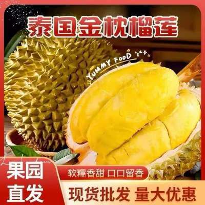 【新鲜金枕】精选果园进口新鲜树熟软糯榴莲整个坏果包赔包邮现货