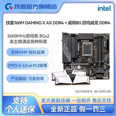 ڲB760M G X AX DDR4ħӥ8G 3600 DDR4ڴװ1099Ԫ