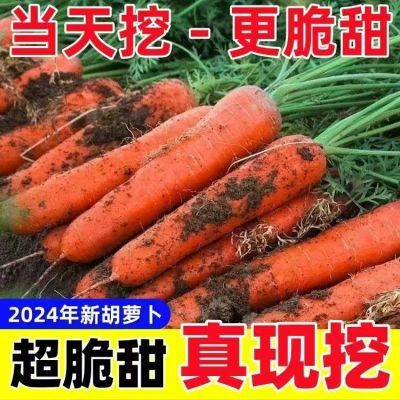 5.9元鲜现挖胡萝卜约5.2斤附8.9，晒圖饭2。荭包抵1当季新鲜现挖蔬菜胡萝卜https://p.pinduoduo.com/vnVMFqqA 