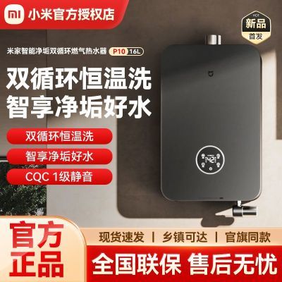 С׼ܾ˫ѭȼˮ16L P10ú½һ ȼˮ16L P10 ˫ѭ2563.2Ԫ