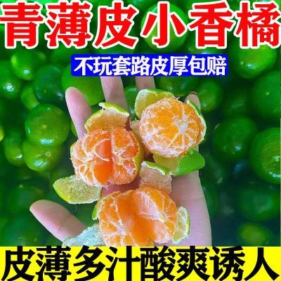 【薄皮小香橘】云南蜜橘新鲜小蜜桔当季水果薄皮无籽桔孕妇酸甜可