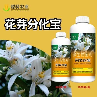 骠骑花芽分化宝瓜果果树促进花芽分化促花利果增产增收叶面肥