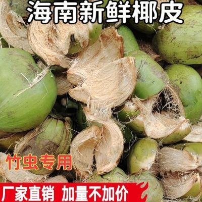 海南万宁和乐椰糠椰棕椰丝椰子皮青养殖专用园艺用品批发