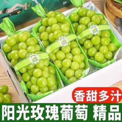 现摘现发正宗云南阳光玫瑰葡萄脆甜青提无籽晴王葡萄新鲜冷链保鲜