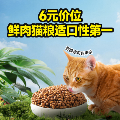 ڲ˼ʿèӪèèͨè20װ114Ԫ