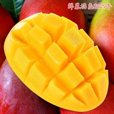 【新鲜现摘】攀枝花芒果彩虹芒果应季新鲜水果香甜大芒果整箱批发
