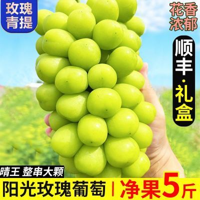 ڲȻ졿õѱ˳ᷢ1.8/4.8ﵥ10g16.9Ԫ