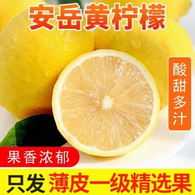 【闭眼买】现摘现发四川安岳黄柠檬新鲜采摘 酸爽多汁 黄金酸甜