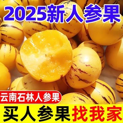 云南石林人参果新鲜整箱5斤包邮生水果10叁七彩果黄心肉圆果特大
