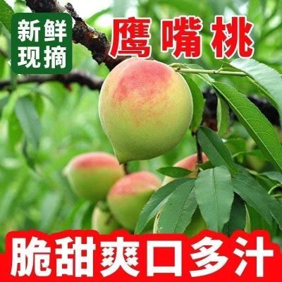 18.9/5斤鹰嘴桃一年就吃这么一次的品种!!果肉酸甜多汁 软硬都好吃这个你们放心抢 坏果包赔的~https://p.pinduoduo.com/QaSMv9EE 
