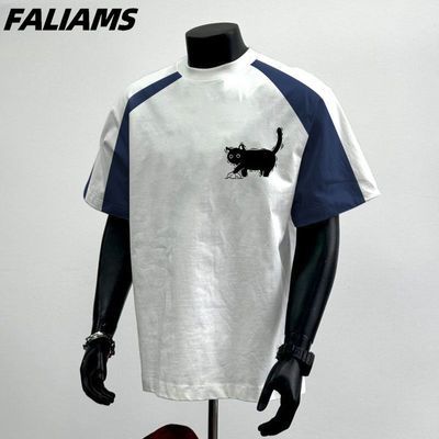 ڲFALIAMSȶTļ2025¿ɿɷɹְ25.8Ԫ