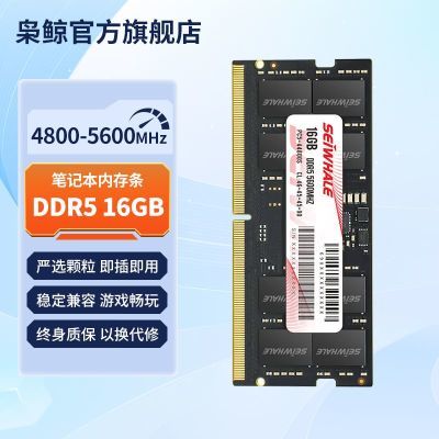 �ɾ� �ʼǱ������ڴ��� DDR5 16GB/32GB 5600MHz ����4800MHz 997Ԫ