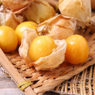 东北姑娘果正宗菇娘果新鲜姑鸟果灯笼果大果批发新鲜水果批发包邮