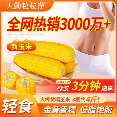 【天勤粒粒净】黄糯玉米260g新季糯玉米非转基因透明真空包装低脂代餐