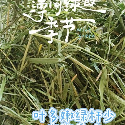 26年头茬烘干晒干提摩西碎草,兔子荷兰猪食用草。优惠商品图片
