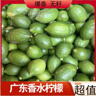 广东香水柠檬新鲜应季水果黄柠檬多汁榨汁果奶茶店专用柠檬果现摘
