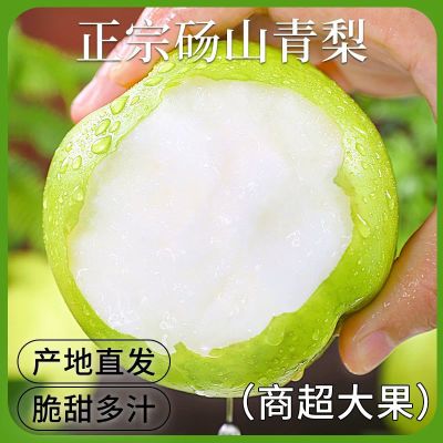 梨子新鲜当季砀山梨皇冠梨酥脆梨青梨香甜梨应季水果水果梨