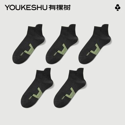 ڲ5˫װпʿӶļ10A͸61.5Ԫ