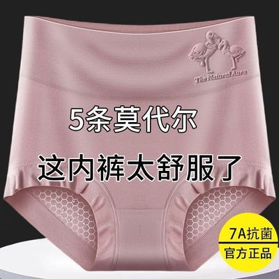 5条莫代尔女士内裤女高腰收腹石墨烯抗菌裆大码宽松胖妈妈打底裤