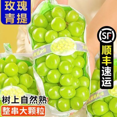 ڲ˳᡿ɽõӦˮ1.710.8Ԫ