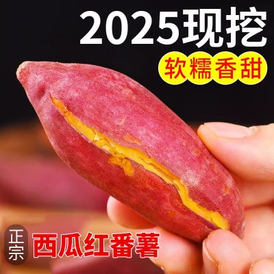 正宗沙地蜜薯新鲜红薯板栗番薯西瓜现挖巴马红心农家糖心地瓜香甜