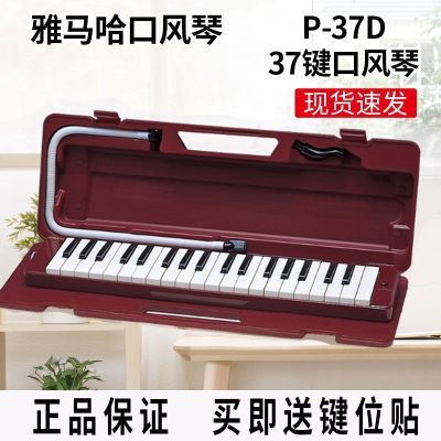 ���ڲ������������ڷ���P37Dרҵ37��Сѧ����ѧ��ͯ��ѧ����רҵ����ڴ���    289Ԫ