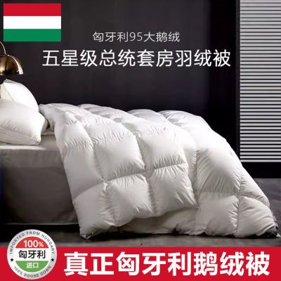匈牙利95白鹅绒羽绒被冬被加厚保暖酒店双人被子春秋被芯