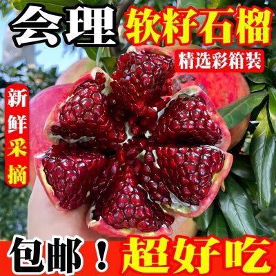 ڲرȨƷͻ˹ʯʯ4.3ﵥ250g812շ꡿ 14.9Ԫ