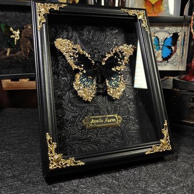 金箔蝴蝶标本成品美凤蝶标本手工七夕礼物摆件复古罕见标本摆件