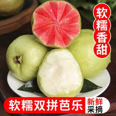 广西红心白心双拼软心奶油芭乐混装软糯新鲜番石榴脆甜鸡屎果批发