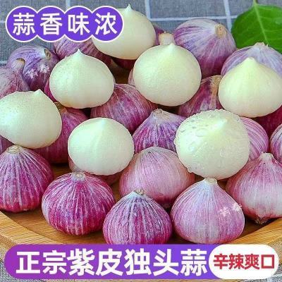 脆辣爽口】2025干紫皮独头蒜农家自种大蒜干蒜大蒜大头蒜新鲜蔬菜