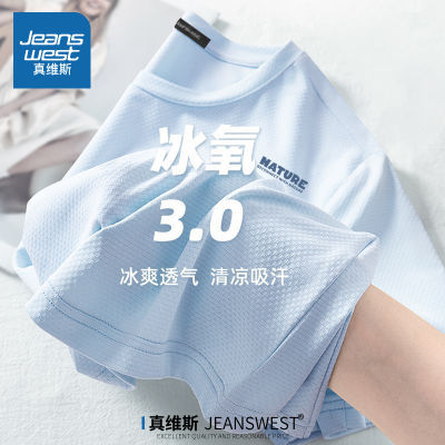 ڲά˹ٸtжļ˿ɹ2025¿͸ᱡʿ29.9Ԫ