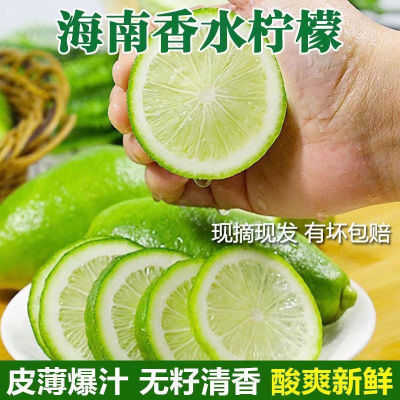 海南无籽香水柠檬新鲜正宗青柠檬奶茶店专用当季大果暴打整箱批发