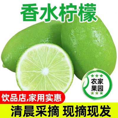 海南无籽香水柠檬新鲜正宗青柠檬奶茶店专用当季大果暴打整箱批发