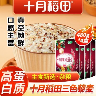 ʮµɫ޼480g*23ʳ׺޼28.4Ԫ