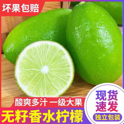 海南无籽香水柠檬新鲜正宗青柠檬奶茶店专用当季大果暴打整箱批发