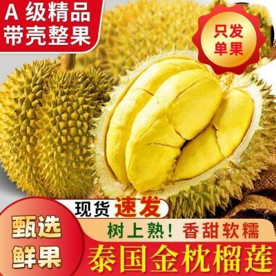 【单果直发】正宗金枕头榴莲泰国进口带壳大果软糯树熟现货包邮
