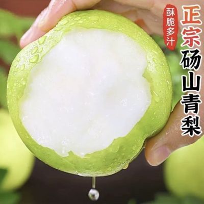 梨子新鲜当季砀山梨皇冠梨酥脆梨青梨香甜梨应季水果水果梨正宗