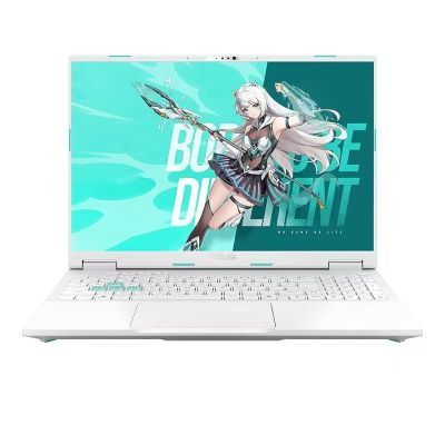 ڲ˶ѡ6pro i7-13650HX RTX5060 ɫ 16G1T 16ӢʼǱԡ3ڷ11690Ԫ