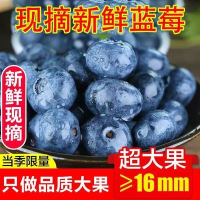 高山新鲜蓝莓鲜果水果现摘蓝莓护眼孕妇宝宝辅食当季整箱儿童水果